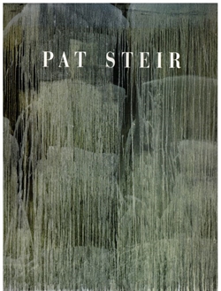 PAT STEIR - (1995)